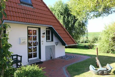 SV3 Hans Albers 13