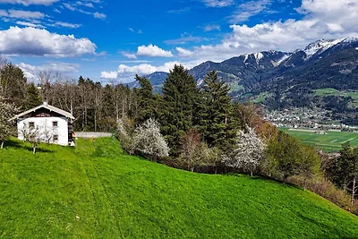 Alpenrehblick am Karwendelgebirge