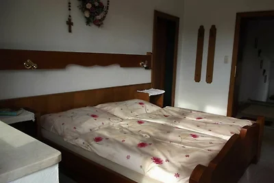Doppelzimmer mit DU/WC,TV, teilw.Balkon