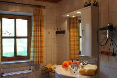 Appartamento Vacanza con famiglia Altmünster