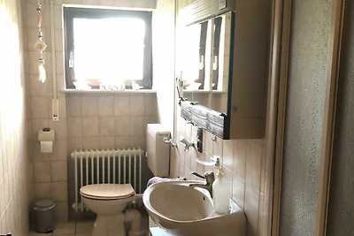 Vakantieappartement Gezinsvakantie Ortenaukreis