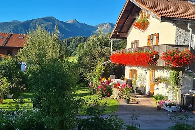 Kuckucksnest Wohnung