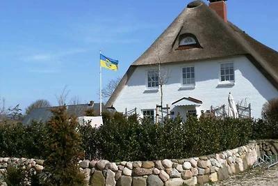 Webstube Hausteil mit Garten