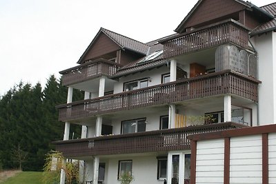 Vakantieappartement Gezinsvakantie Hohegeiß