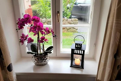 Casa vacanze Vacanza di relax Alkersum