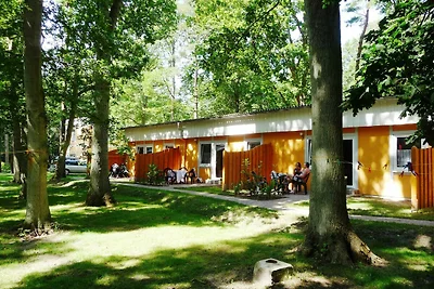 Albergo Cultura ed escursioni Dranske