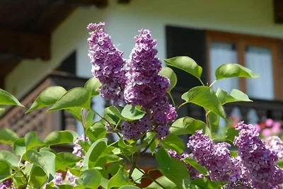 apartman za odmor Obiteljski odmor Bad Wiessee