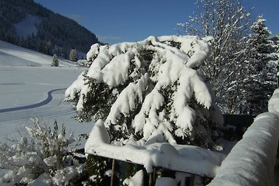 Vakantieappartement Gezinsvakantie Nesselwängle