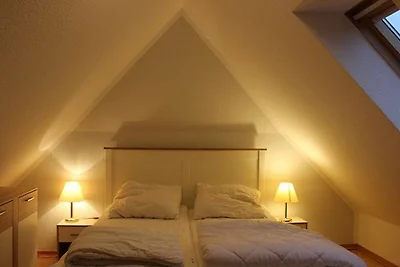 Albergo Cultura ed escursioni Butjadingen