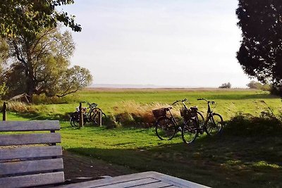 Vakantieappartement Gezinsvakantie Boxberg