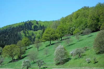 Appartamento Vacanza con famiglia Seelbach
