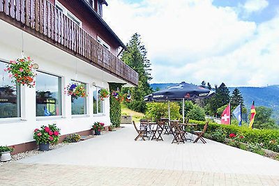 Hotel Cultuur en bezienswaardigheden Feldberg