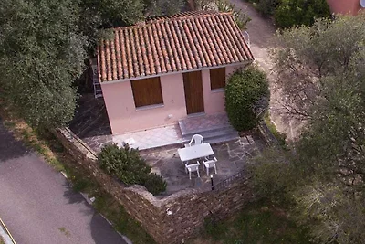 Atelier Oliva - Nr. 111