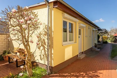 Holiday flat family holiday Waren (Müritz)