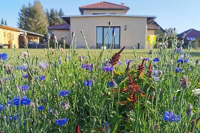 Apartment Harz-Relax