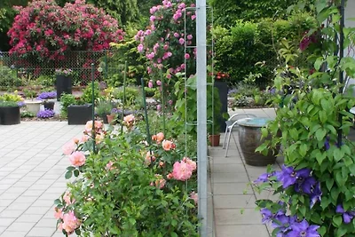 WOHLFÜHL Ferienhaus mit grosser Süd-Terrasse