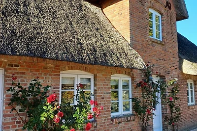 Appartamento Vacanza con famiglia Wrixum