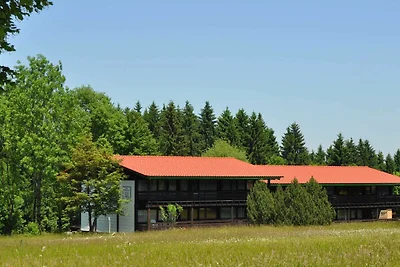 Albergo Cultura ed escursioni Siegsdorf