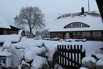 Vakantieappartement Gezinsvakantie Alt Reddevitz