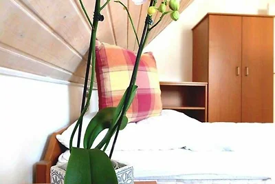 Hotel cultural and sightseeing holiday Bad Saarow