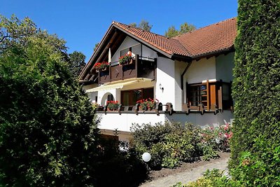 Holiday flat family holiday Bad Dürrheim