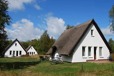 Doppelhaushälfte (Terrasse)