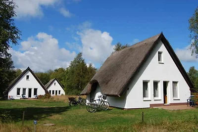 Albergo Cultura ed escursioni Hiddensee