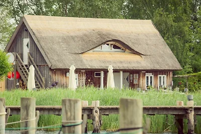 Vakantieappartement Gezinsvakantie Krummin