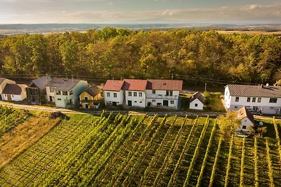 Ferienhaus Szapary I