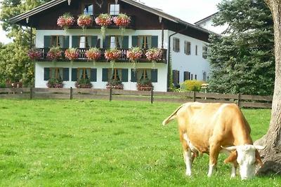 Vakantieappartement Gezinsvakantie Gmund am Tegernsee