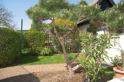 Vakantieappartement Gezinsvakantie Ulrichshorst