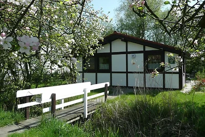 Albergo Cultura ed escursioni Hollern-Twielenfleth