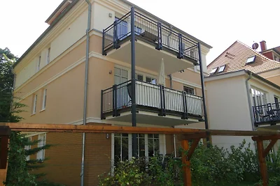 Bucheneck WE 13 SNR: 60