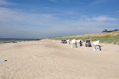 Vakantieappartement Gezinsvakantie Dierhagen