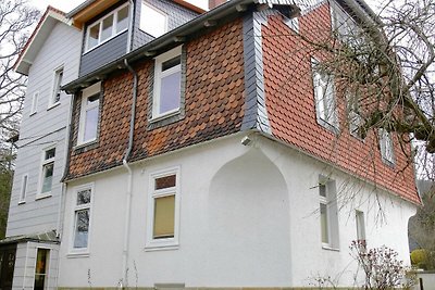 Vakantieappartement Gezinsvakantie Bad Harzburg