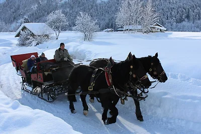 Holiday flat family holiday Sankt Martin bei Lofer