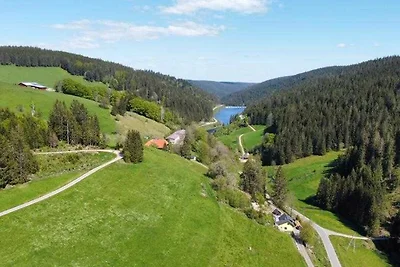 Albergo Cultura ed escursioni Furtwangen