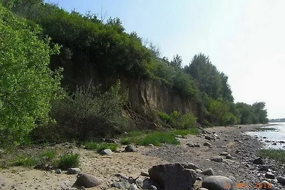 Sünnenkieker 10 Muschelsucher