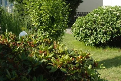 Appartamento Vacanza con famiglia Senftenberg