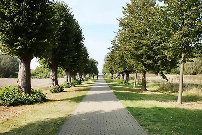 Strandgut Ferienhaus