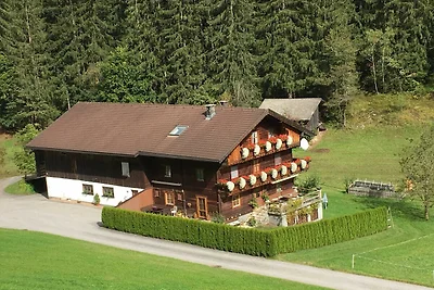 Appartamento Vacanza con famiglia Aschau im Zillertal