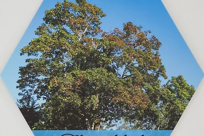 Ferienwohnung Ahornblick