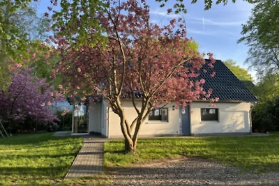 Doppelhaushälfte Strandhaus