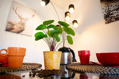 Vakantieappartement Gezinsvakantie Hohegeiß