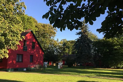 Ferienwohnung Schwalbe (OG)
