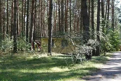 Bungalow B 3