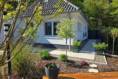 Ferienhaus Seehaus am Wald