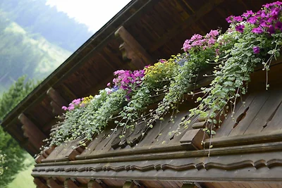 Vakantieappartement Gezinsvakantie Tannheim