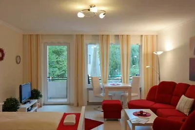 1-Raum-Appartement mit Gartenblick (u.a. App.