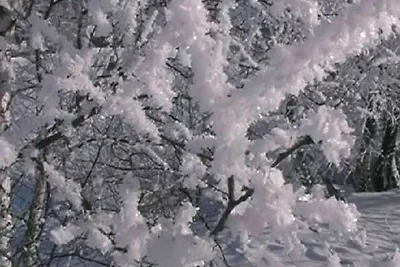 Ferienwohnung für 2 Personen 1